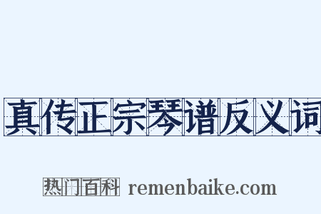 真传正宗琴谱反义词是什么意思的图片